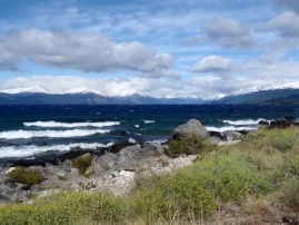 A casual day A casual day