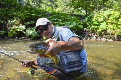 Once again superb and wild brown trout Once again superb and wild brown trout