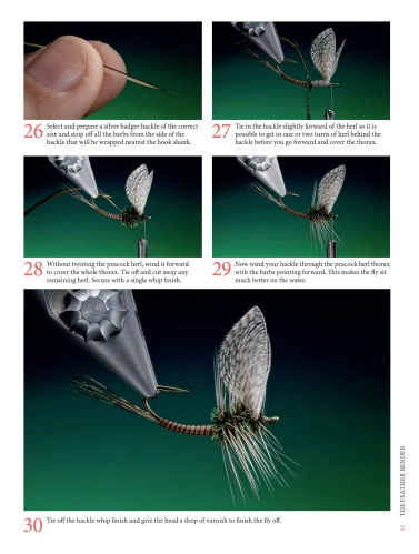 Great photography Great photography