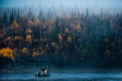 Autumn drift Autumn drift