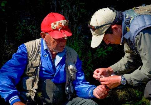 Sound advice Sound advice