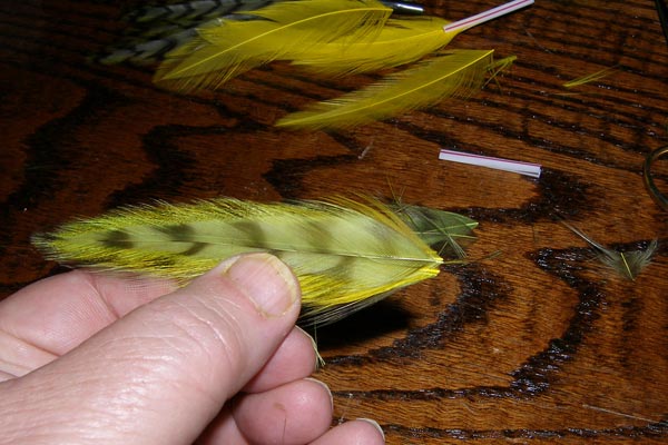 Cut the wing to size Cut the wing to size