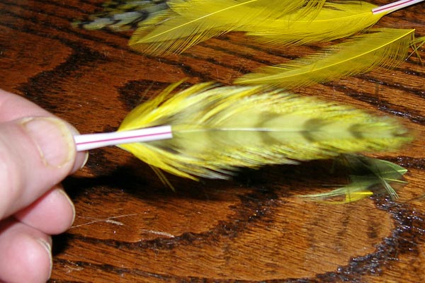 Insert the paired feathers into the Wing Thing Insert the paired feathers into the Wing Thing