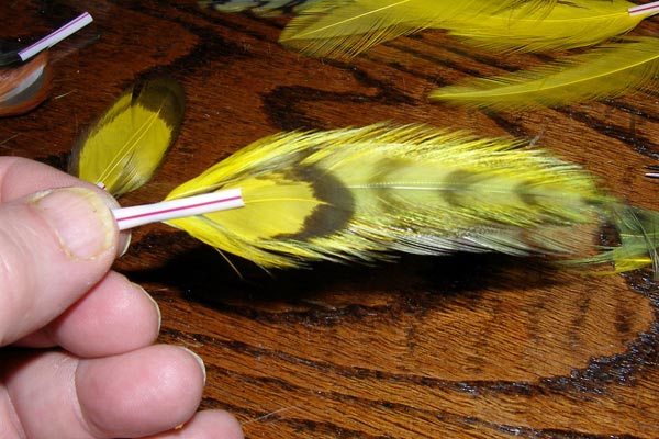 Test drive the design with some cheeks Test drive the design with some cheeks