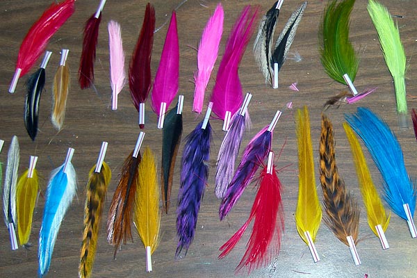 Sets of Wings in Wing Things Sets of Wings in Wing Things