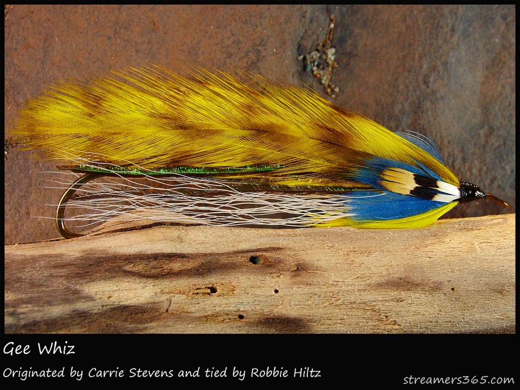 #12 Gee Whiz - Robbie Hiltz #12 Gee Whiz - Robbie Hiltz