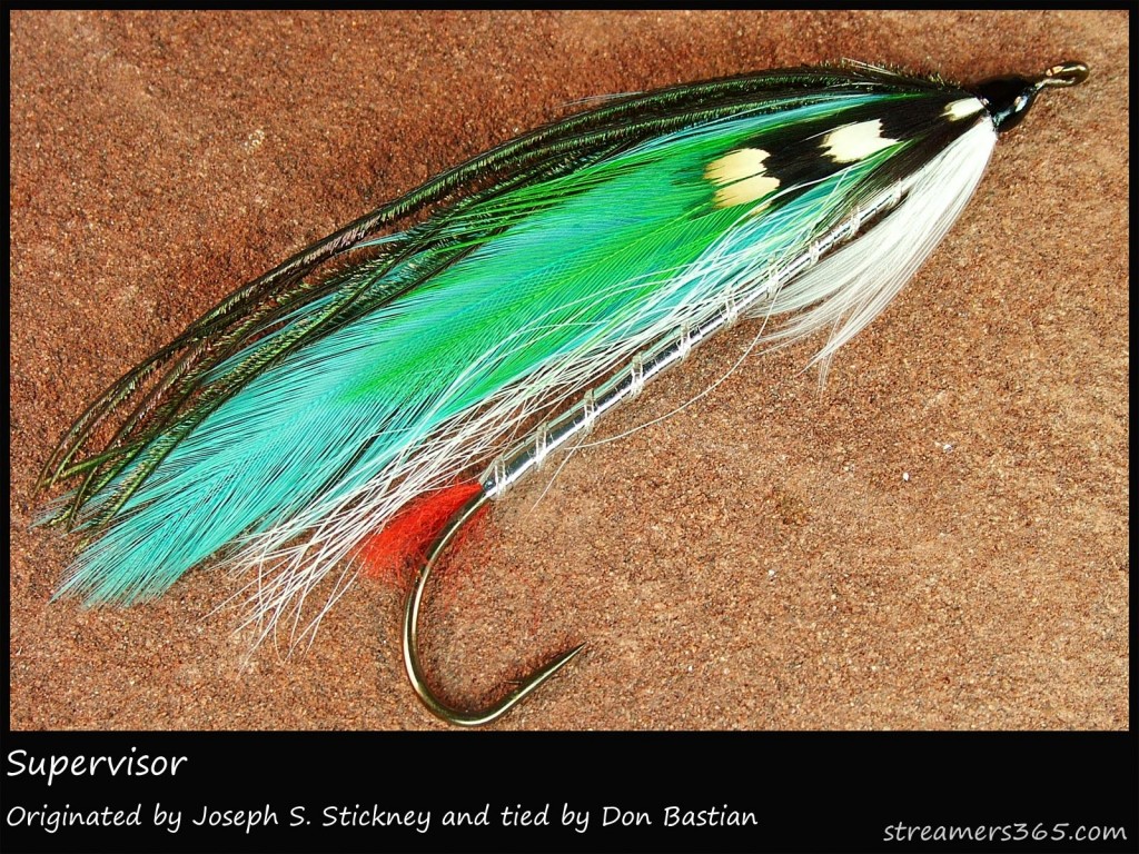 #20 Supervisor - Don Bastian #20 Supervisor - Don Bastian