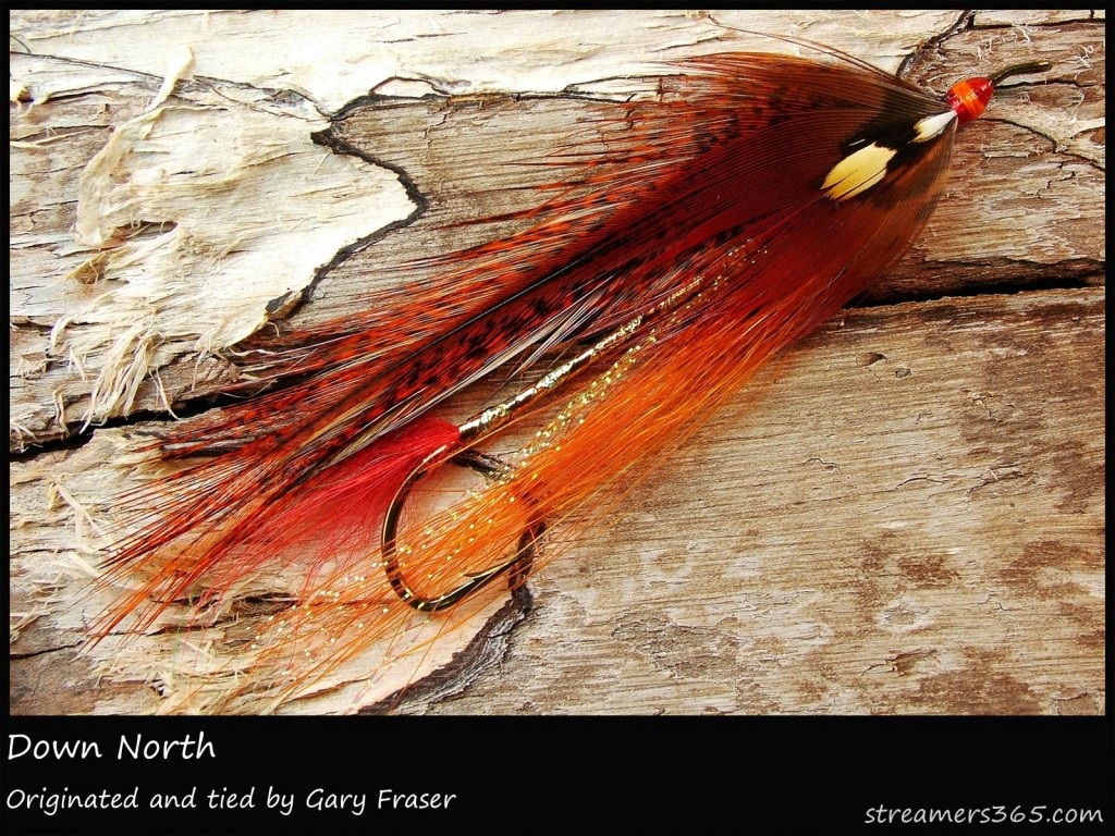 #254 Down North - Gary Fraser #254 Down North - Gary Fraser