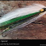 #307 Tanner's Special - Scott Bernard #307 Tanner's Special - Scott Bernard