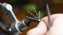 Video thumb for Terry Wilson's Bully Bluegill Spider