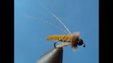 Video thumb for Fox's Caddis Poopah