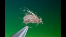 Video thumb for CDC Bubble Caddis