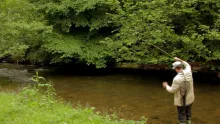 Video thumb for A Tributary of the Wye
