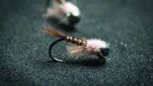 Video thumb for Pintar PT Nymph