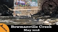 Video thumb for Recharged on Bowmanville Creek