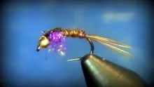 Video thumb for Hot Belly Pheasant Tail