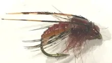 Video thumb for Latex Caddis Pupa
