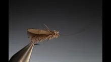Video thumb for Wonder Wing Caddis