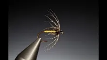 Video thumb for Brassie and partridge spider