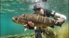 Video thumb for Three Methods to Catch Trout