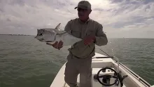 Video thumb for The Annual Gulf Coast Fall Migration - Bonito Blitz 