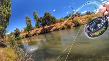 Video thumb for Sight Fishing Brown Trout