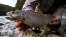 Video thumb for Wild rivers in Patagonia - Chile