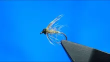 Video thumb for Grannom/Greensleeves Soft Hackle