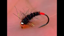 Video thumb for Black Pheasant Tail River Nymph