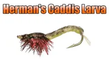 Video thumb for Herman's Caddis Larva