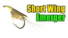 Video thumb for Harrop's Short Wing Emerger