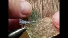 Video thumb for Tying a Double Wing