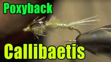 Video thumb for Poxyback Callibaetis Lake Mayfly