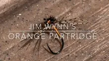 Video thumb for Wynn Orange Partridge