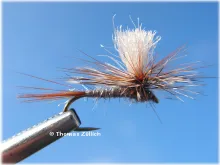 User submitted picture: Adams Parachute