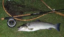 User submitted picture: Seatrout from a German Ri...