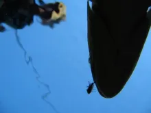 User submitted picture: Mayfly View