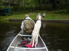 User submitted picture: Penny doesn't wait until...