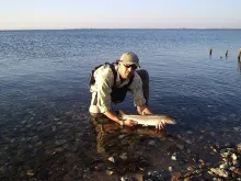 User submitted picture: AFTM #4 + 20mm tippet + s...