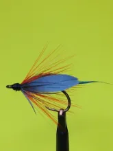 User submitted picture: This fly is the "Kingfis...