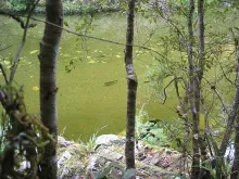 User submitted picture: the once that get away......