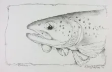 User submitted picture: "Release" is a graphite...