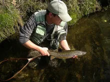 User submitted picture: A lot of respect for this...