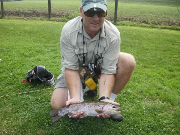 User submitted picture: Usind a large Dragon fly ...