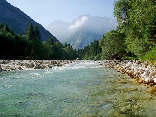 User submitted picture: early summermorning at th...