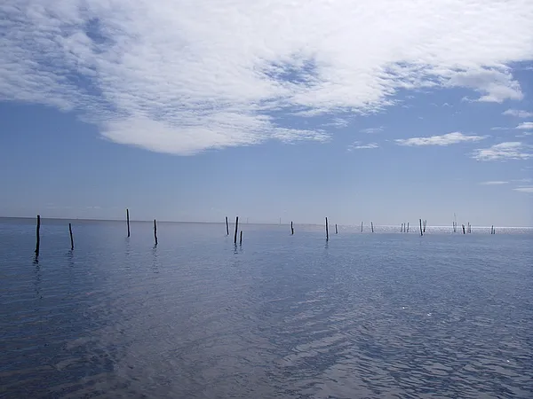 User submitted picture: "Blue", fishing the Eas...