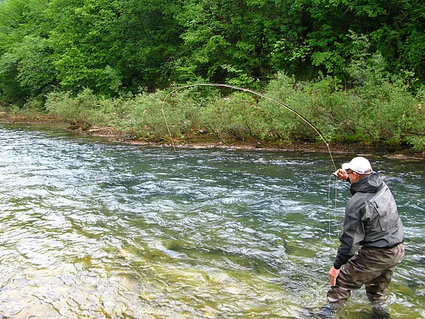 User submitted picture: Good fight with big fish ...