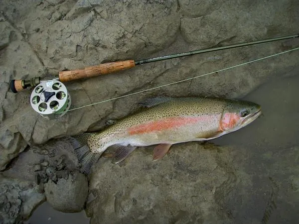 User submitted picture: beautiful colored rainbow...