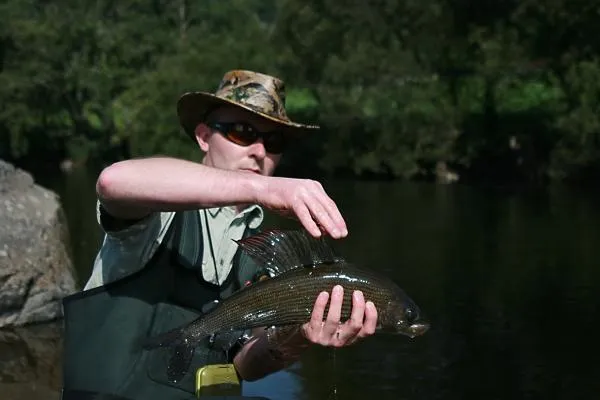 User submitted picture: My new PB. 50 cm 1.24 kg ...