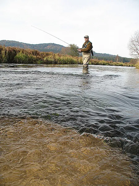 User submitted picture: Fishing grayling